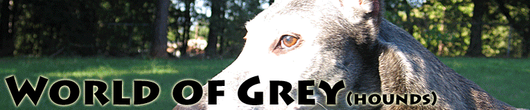 Welcome to my World of Grey